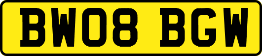 BW08BGW