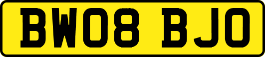BW08BJO