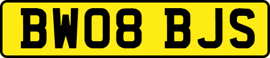 BW08BJS