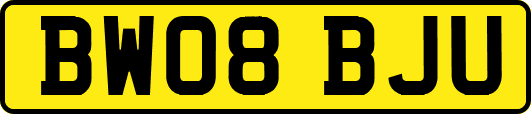 BW08BJU