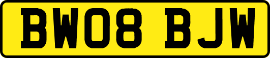 BW08BJW