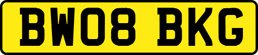 BW08BKG