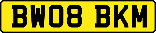 BW08BKM
