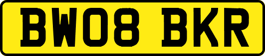 BW08BKR
