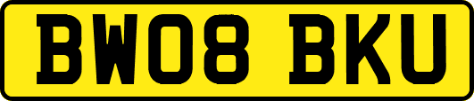 BW08BKU