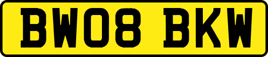 BW08BKW