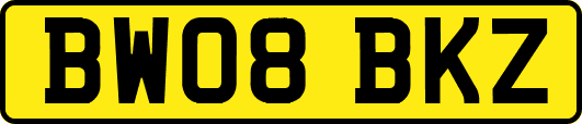 BW08BKZ