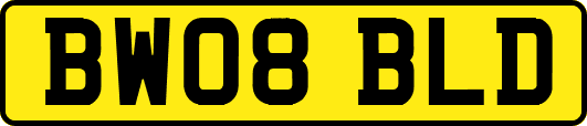 BW08BLD