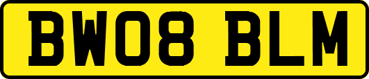 BW08BLM