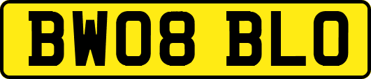 BW08BLO