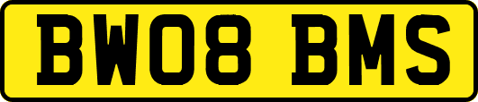 BW08BMS
