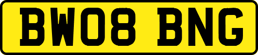 BW08BNG