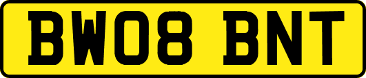 BW08BNT