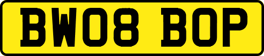 BW08BOP