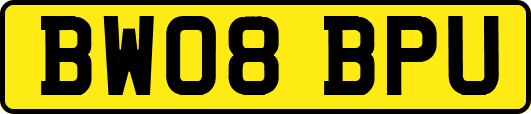 BW08BPU