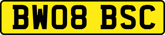 BW08BSC