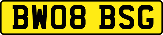 BW08BSG