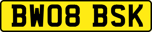 BW08BSK