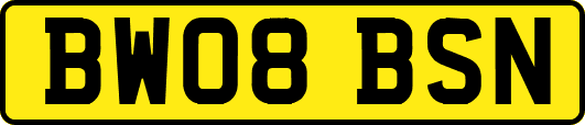 BW08BSN