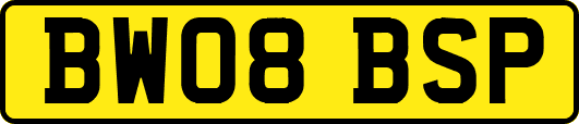 BW08BSP