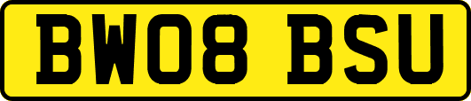 BW08BSU