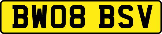 BW08BSV