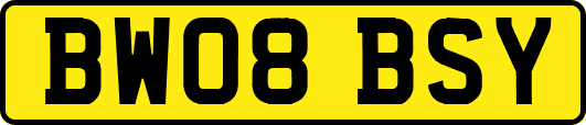 BW08BSY