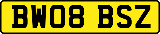 BW08BSZ