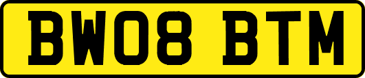 BW08BTM