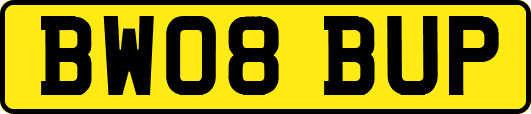 BW08BUP