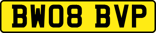 BW08BVP