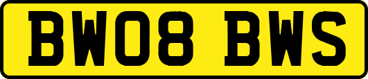 BW08BWS