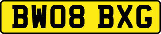 BW08BXG
