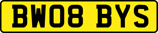 BW08BYS