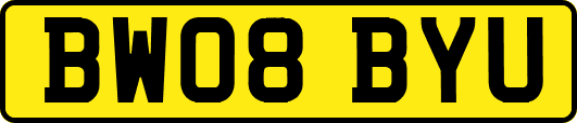BW08BYU