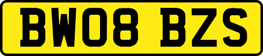 BW08BZS