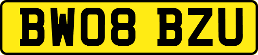 BW08BZU