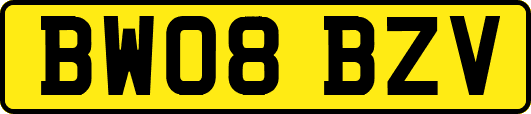 BW08BZV
