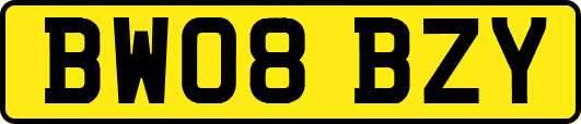 BW08BZY