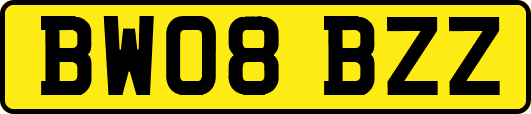 BW08BZZ