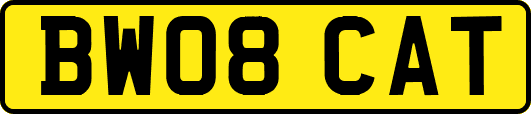BW08CAT