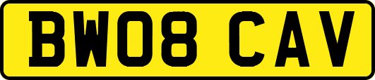 BW08CAV