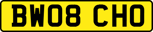BW08CHO