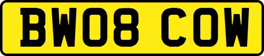 BW08COW