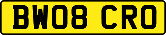 BW08CRO
