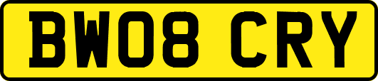 BW08CRY
