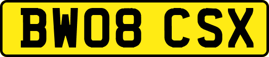 BW08CSX