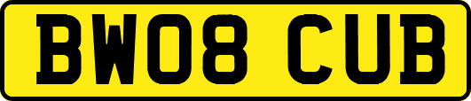 BW08CUB