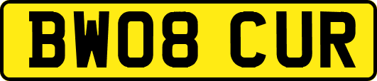 BW08CUR