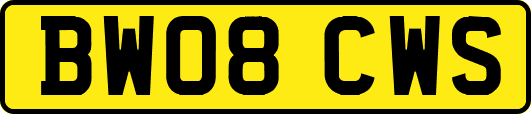 BW08CWS